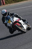 brands-hatch-photographs;brands-no-limits-trackday;cadwell-trackday-photographs;enduro-digital-images;event-digital-images;eventdigitalimages;no-limits-trackdays;peter-wileman-photography;racing-digital-images;trackday-digital-images;trackday-photos